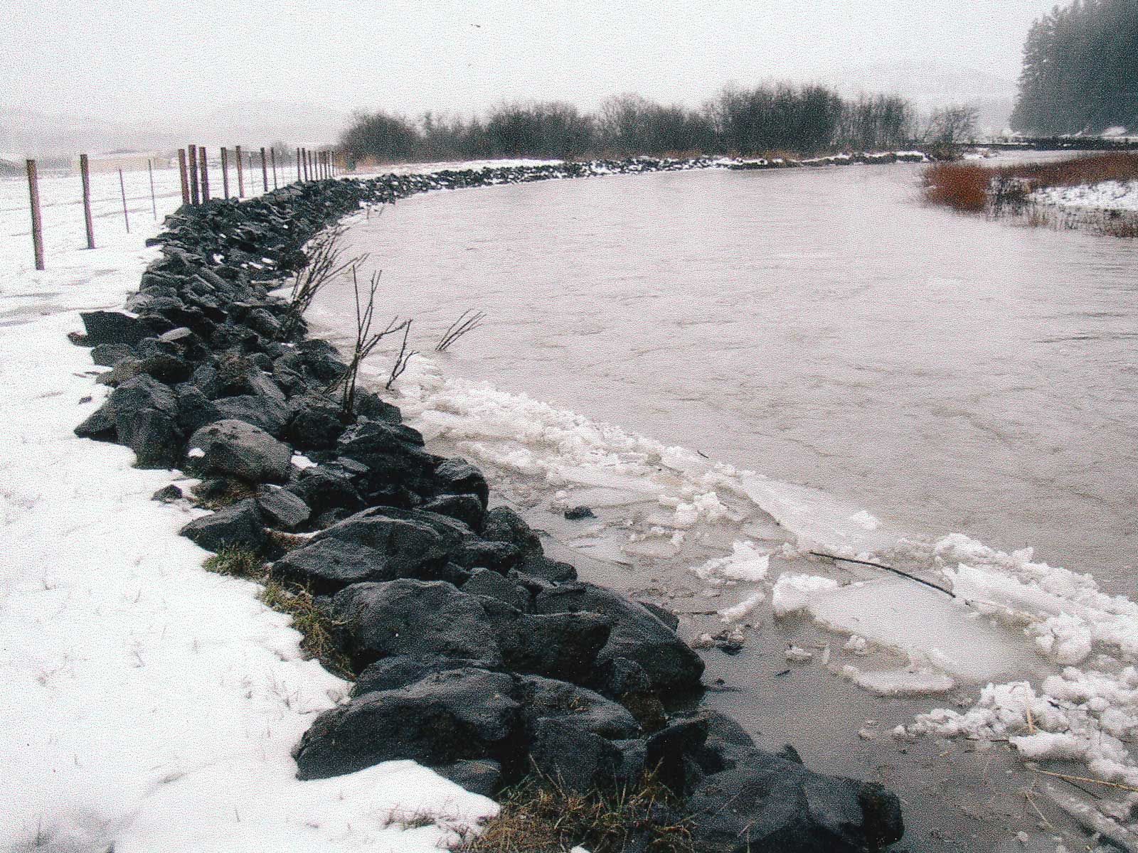 Palouse River Banks Stabilization near Harvard - 2004