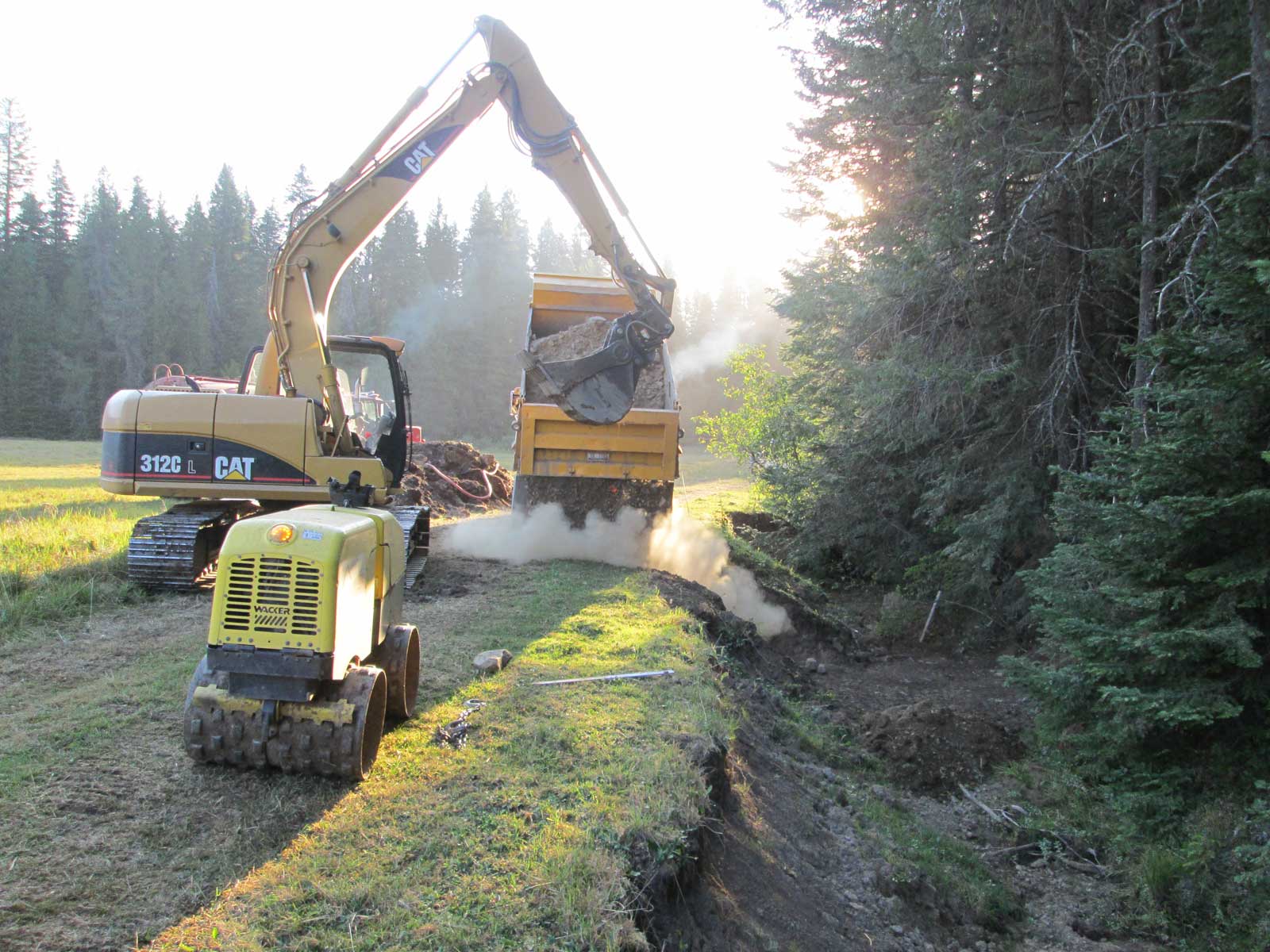 U.S. Forest Service Stream and Meadow Restoration