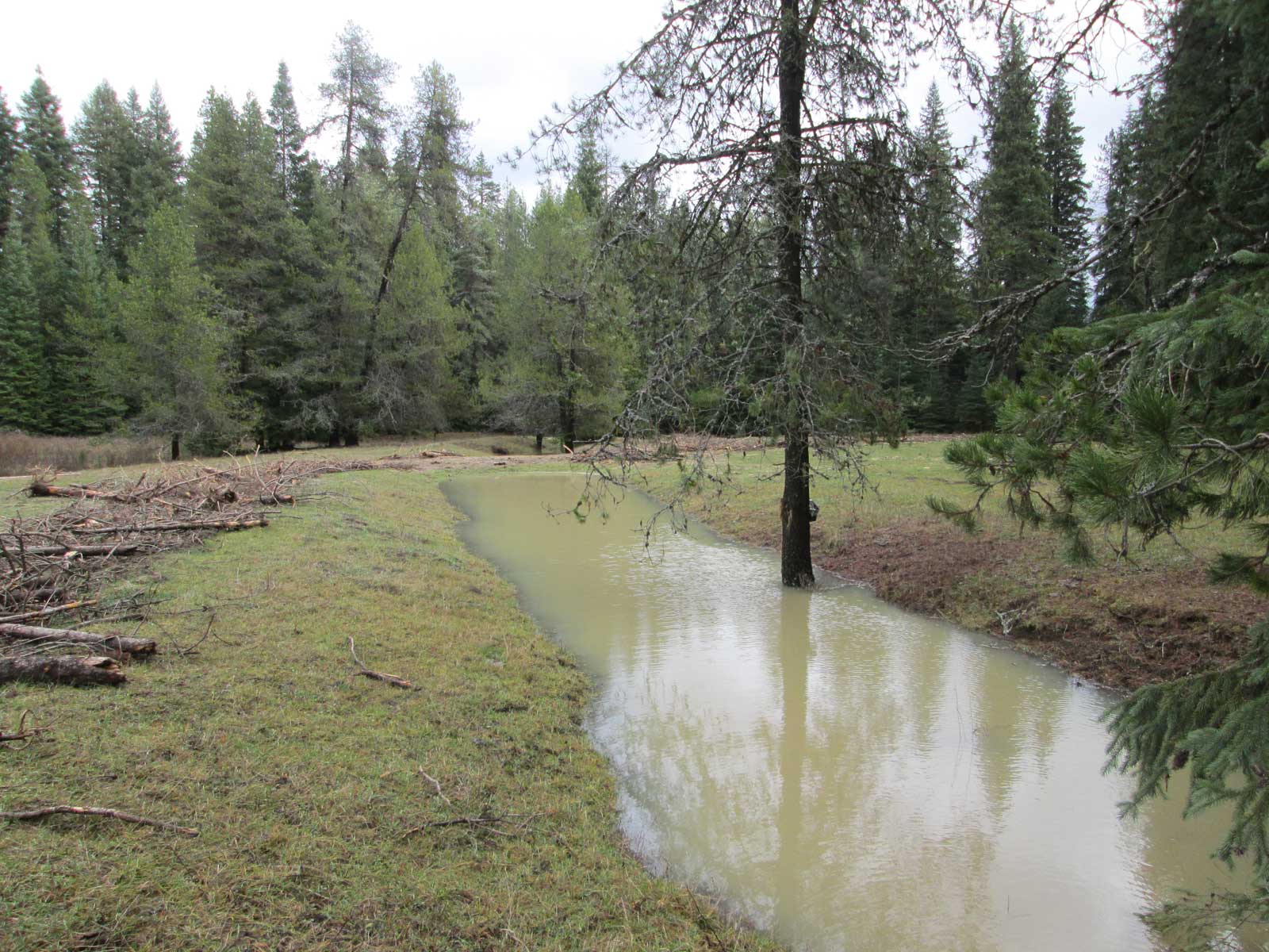 Stream Conservation by Hatter Creek Earthworks
