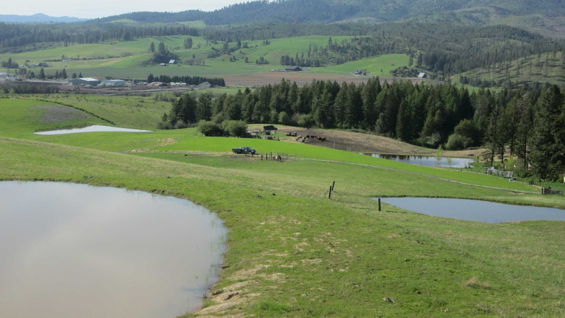 John Roy Ponds Article Pic
